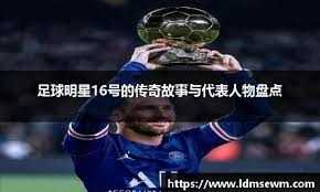 略显仓
