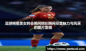 路后插上